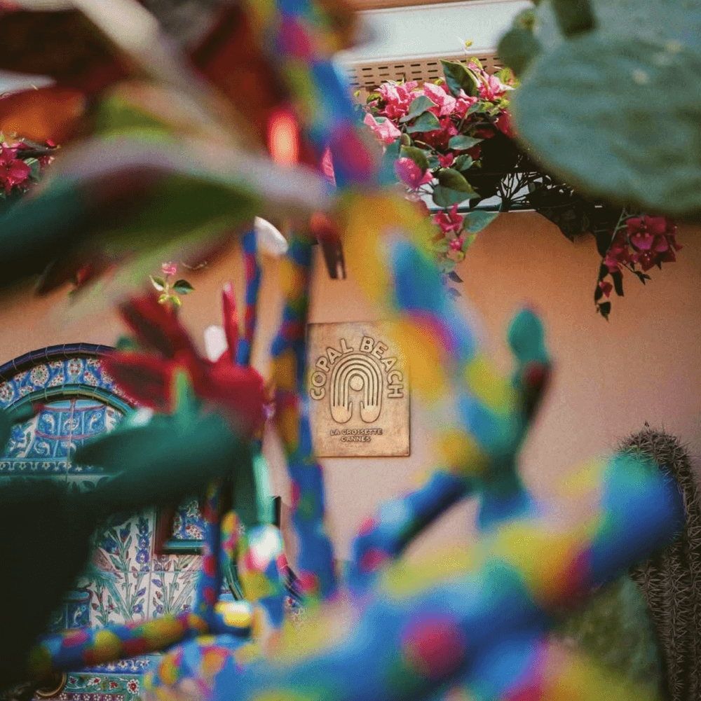 jin gui tortue hamburg